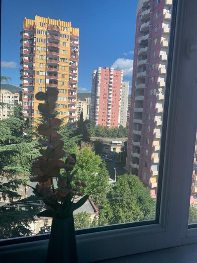 Apartments Of Gregoryan Tbilissi Extérieur photo